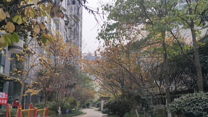 枫景观天下外景图