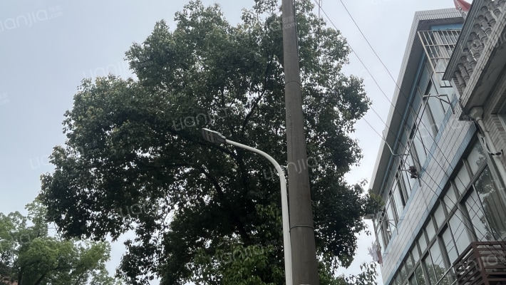 屯溪路97号外景图