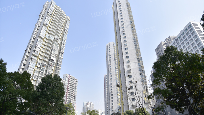 金星家园外景图