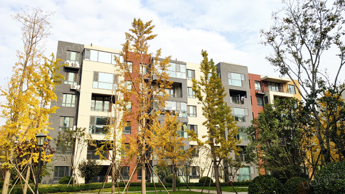 招商海德公学二期外景图