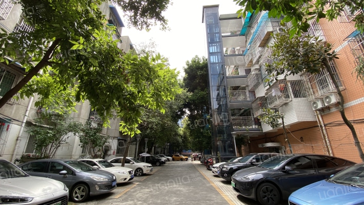 棠中路四段43号外景图