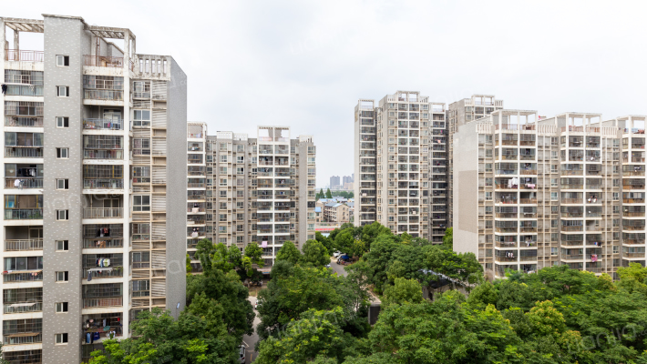 友谊花城外景图