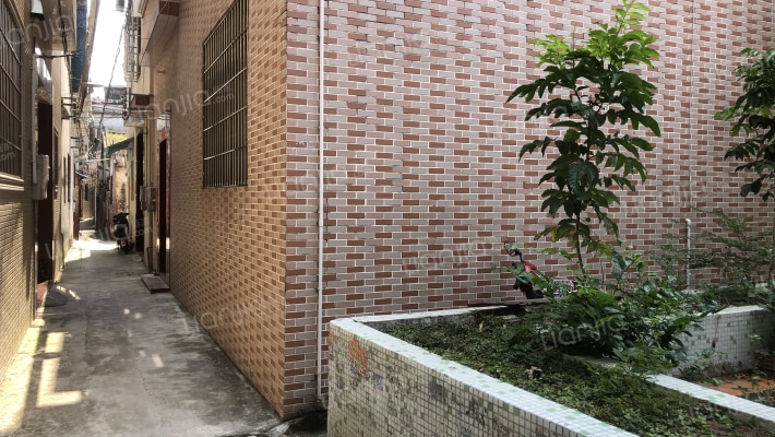 容桂单家小黄圃社区外景图