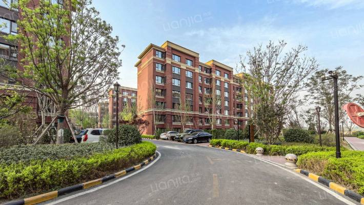 梧桐大道外景图