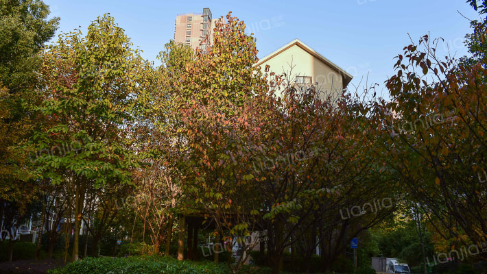 荷塘月色外景图