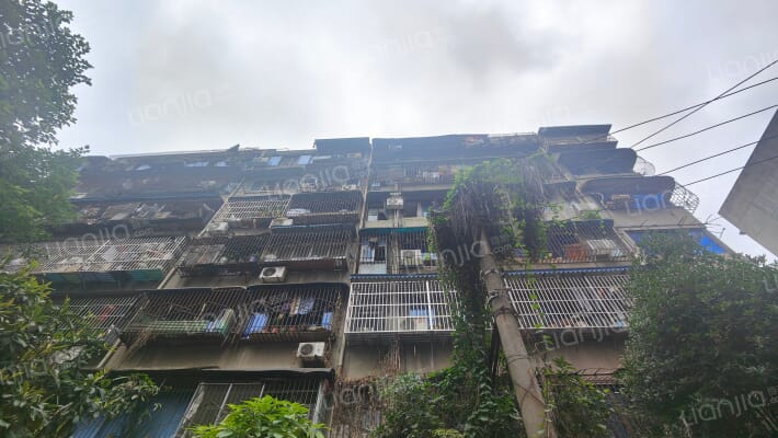 府青巷6号外景图