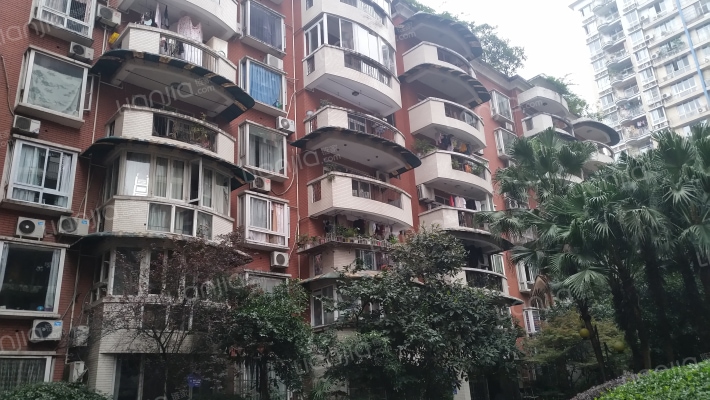 临江苑二期外景图