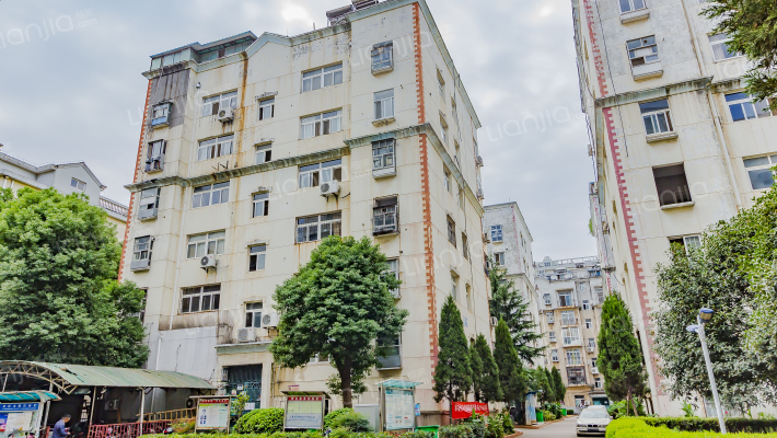 金荷花园外景图