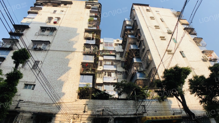 祖庙散盘外景图