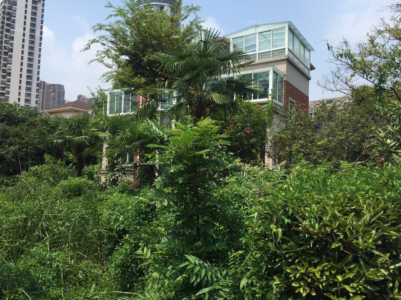 Guo Xin Jia Yuan compound photo 21