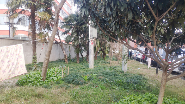 鹤庆路810弄外景图