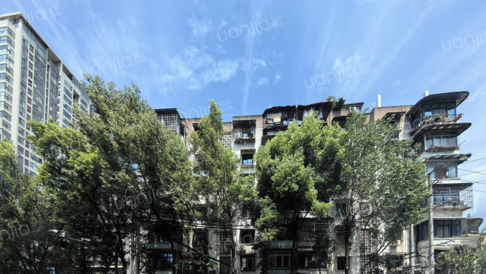 东较场街119号外景图