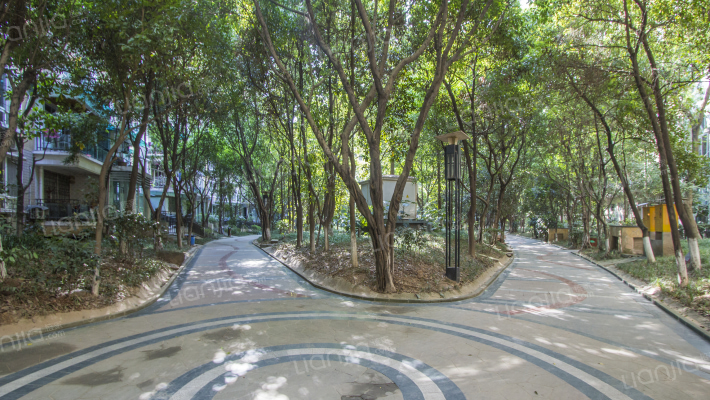 假日滨江花园樱花苑外景图