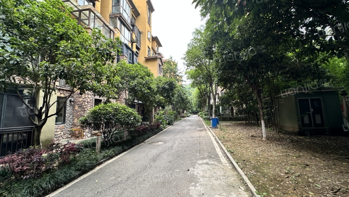 幸福考拉外景图