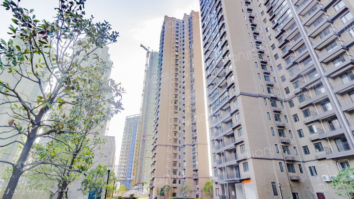 东兴天地E区外景图