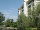 翠湖绿洲花园实景图