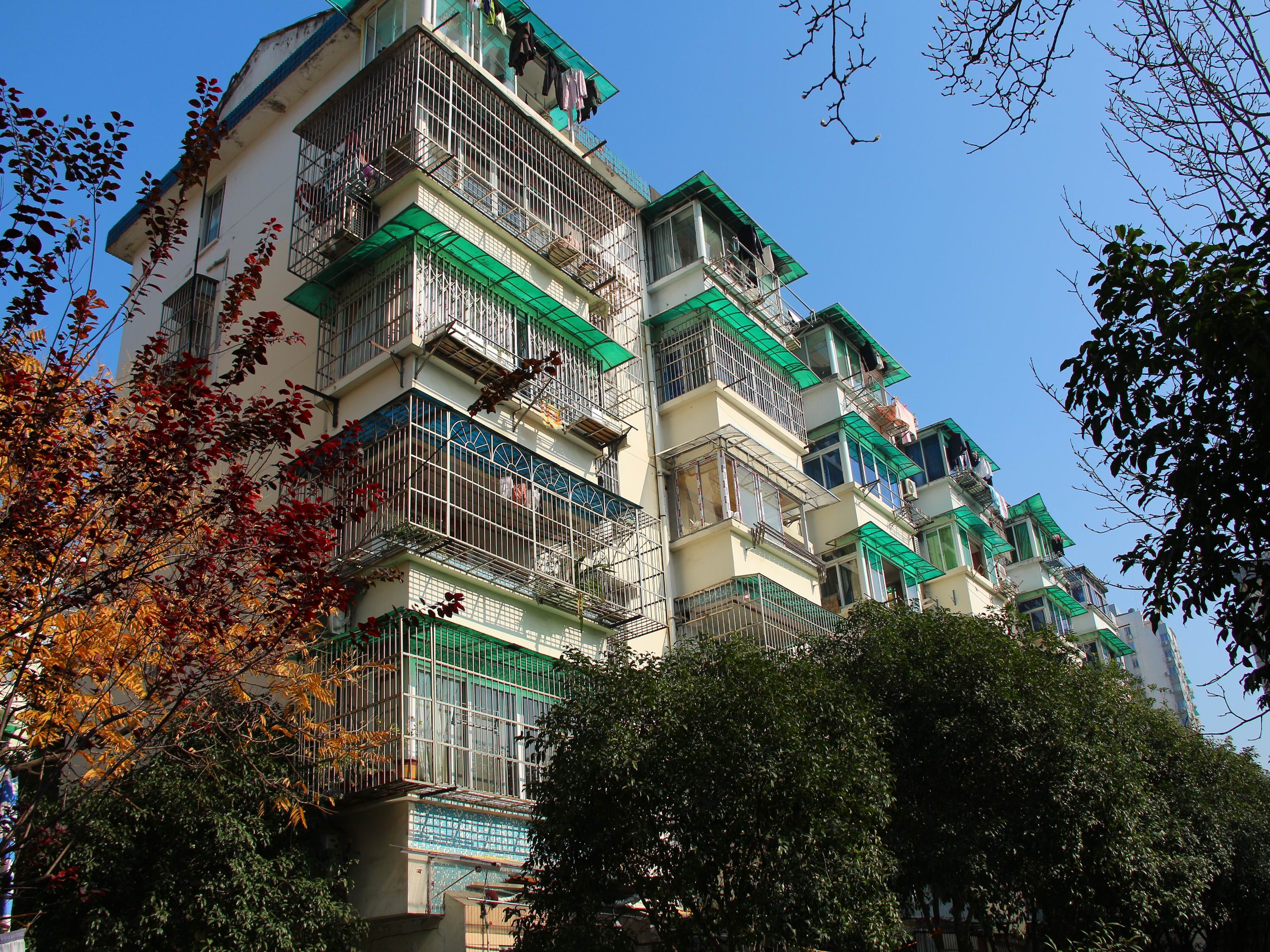 古荡新村东区小区实景 15