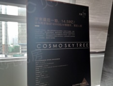 COSMO天廊项目现场