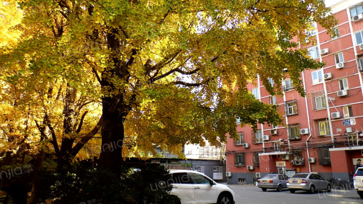 复兴路61号院外景图