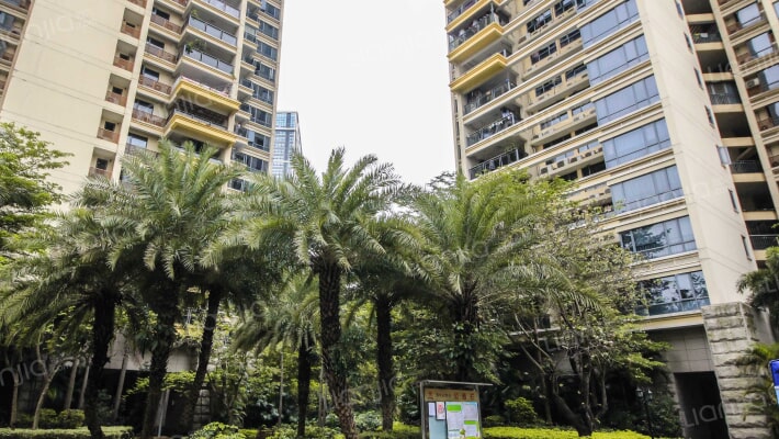 中旅国际公馆2期外景图