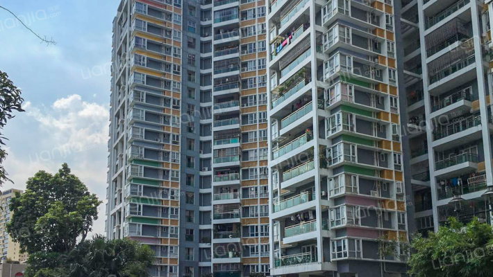 大芬油画苑外景图