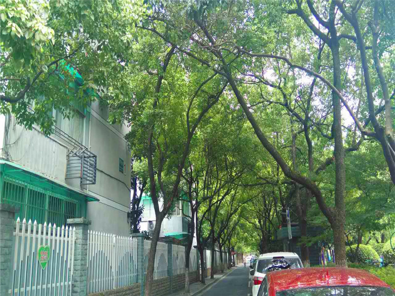 Moganxincun  compound photo 24