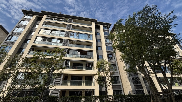 金科禹洲府繁境外景图