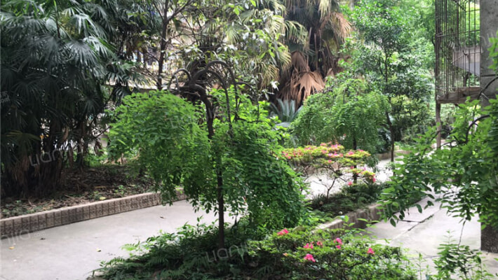 京川教师苑外景图