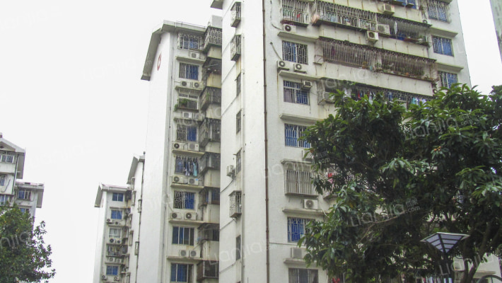 金枫花园外景图