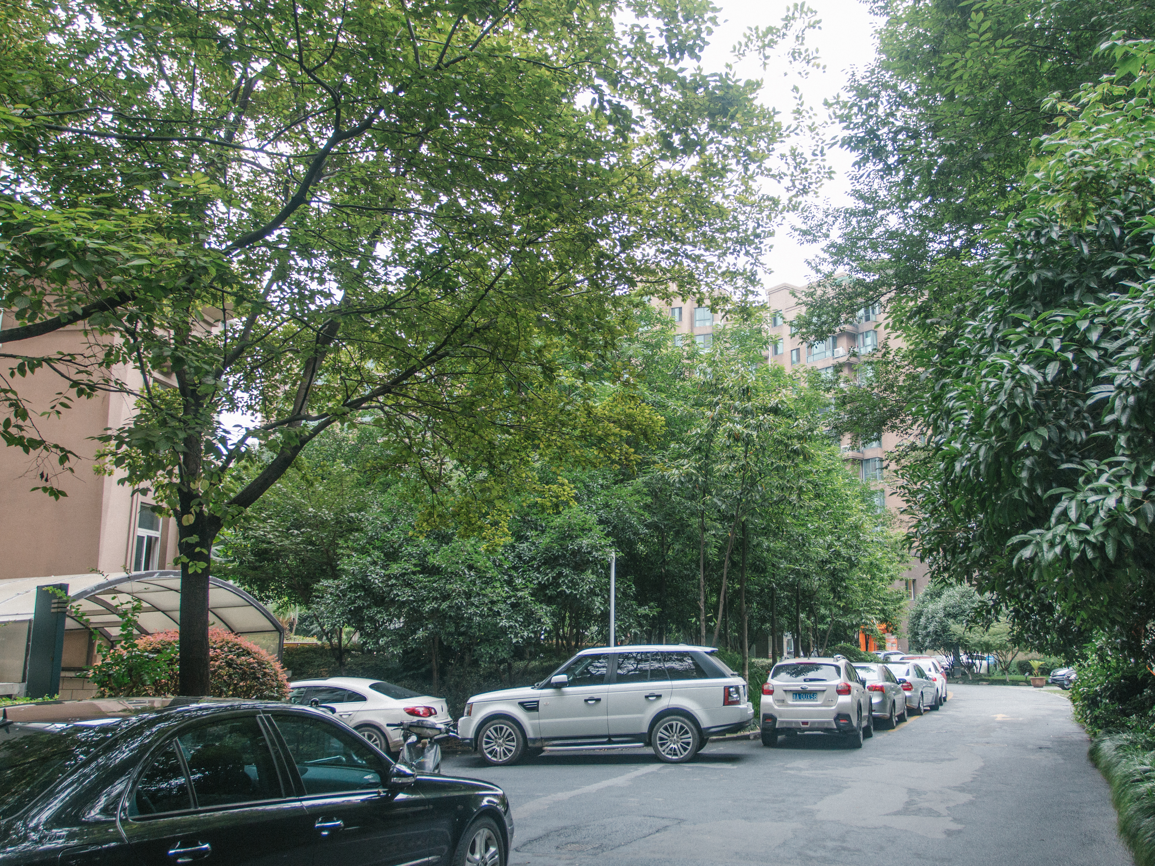 绿洲花园小区实景 24
