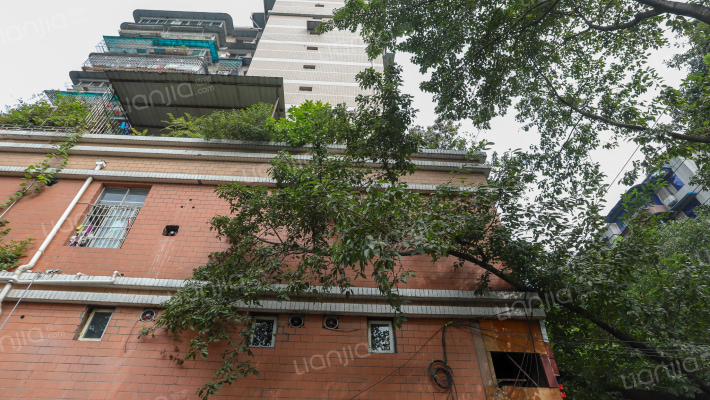 星云花园外景图