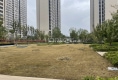 中南紫云集户型图实景图