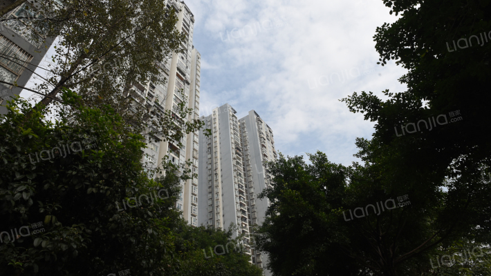 纳帕溪谷外景图