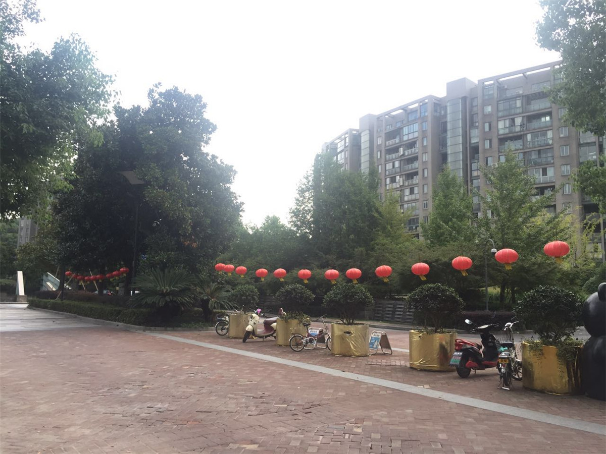 南岸花城小区实景 34