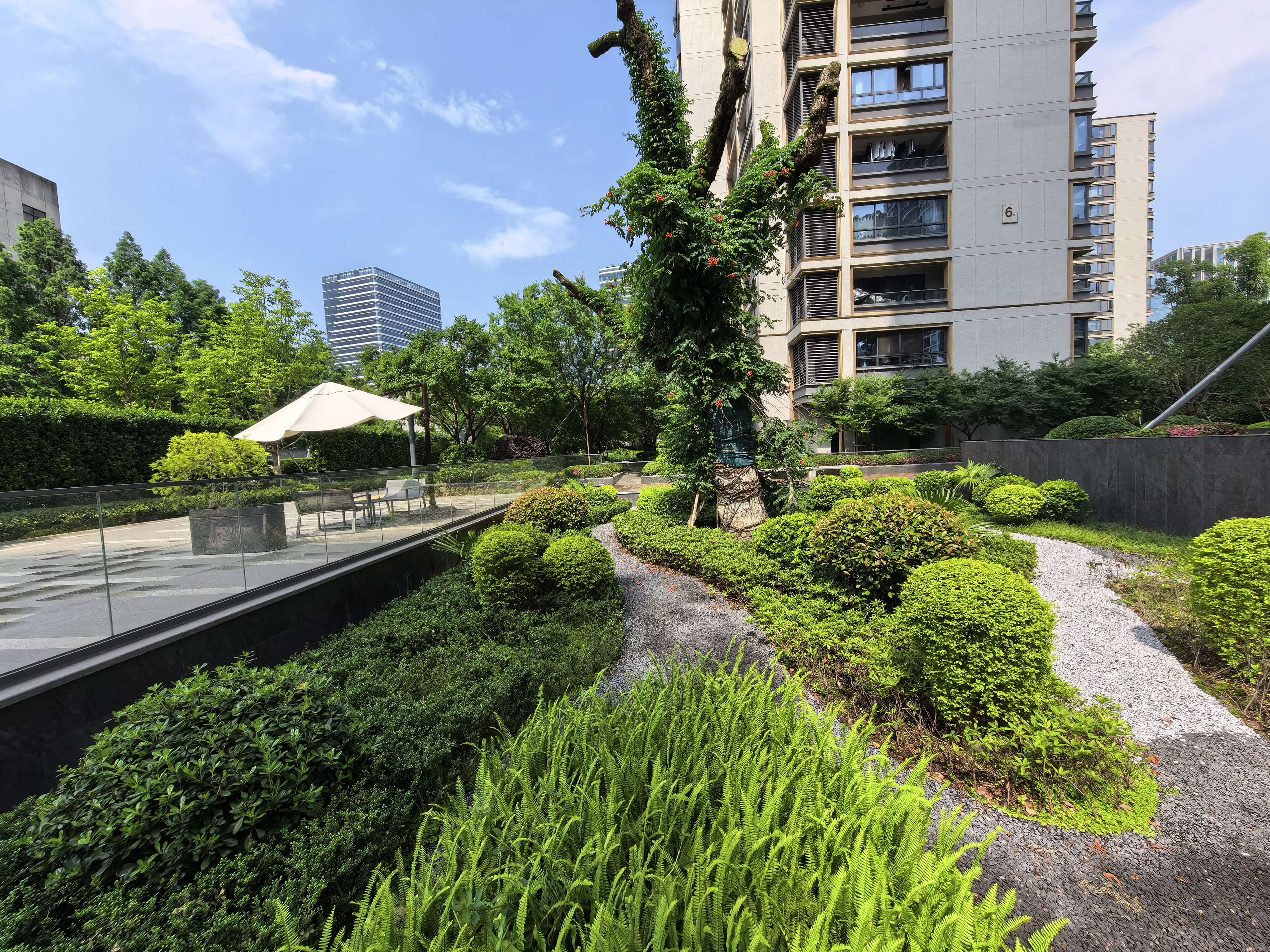 Tiancheng Meizhu compound photo 7