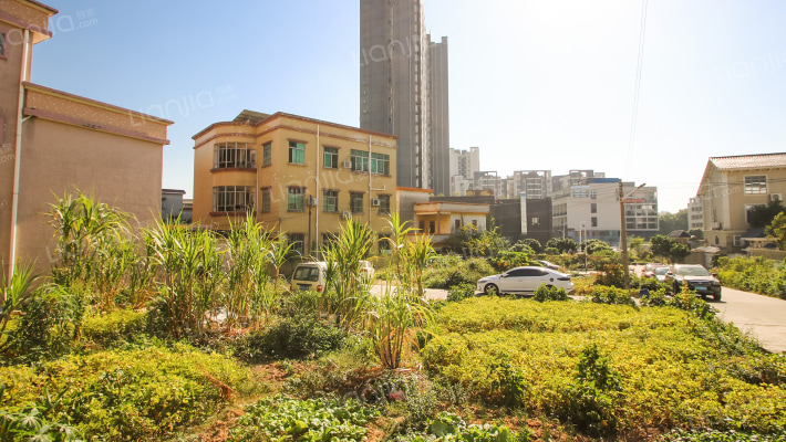 新路新禧街二巷外景图