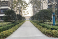 学林春晓户型图实景图