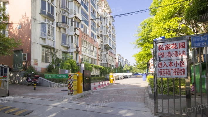 紫金山松林谷外景图