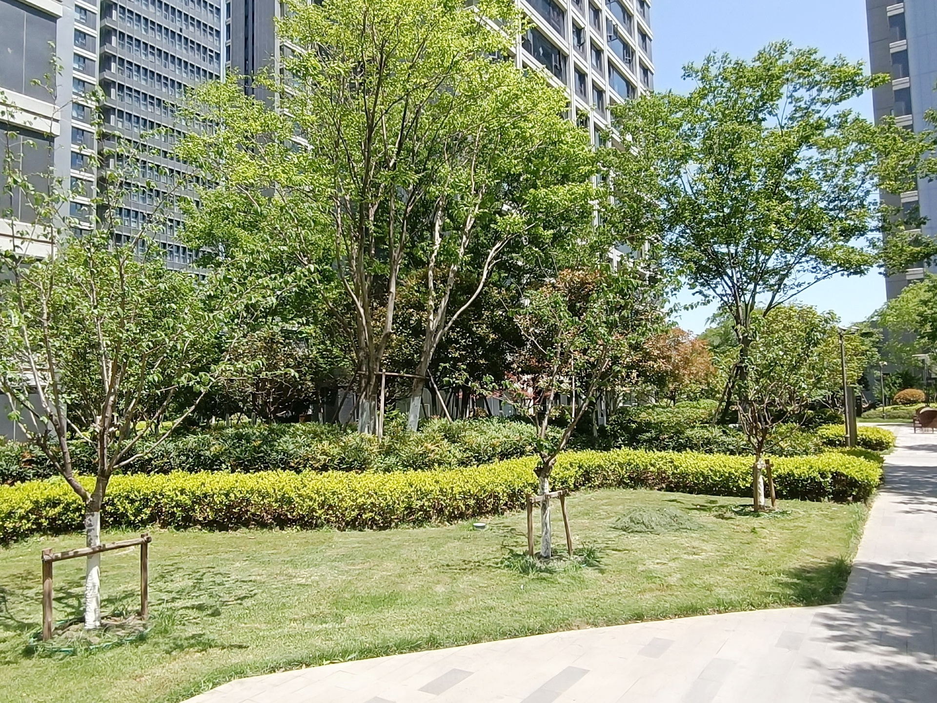 富力中心小区实景 4