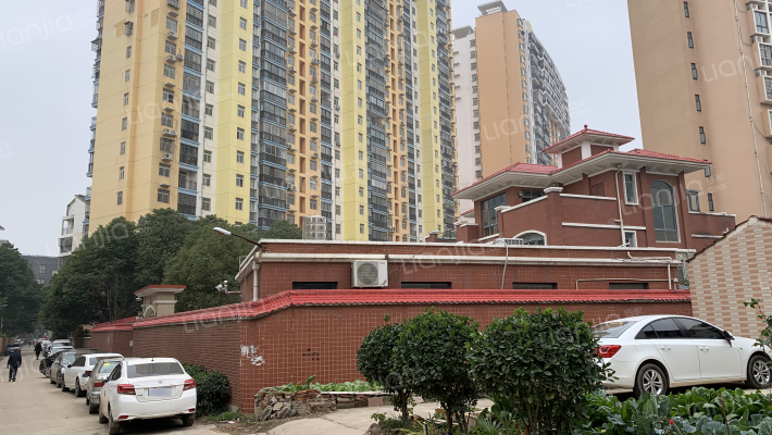 高潮村姜家田外景图