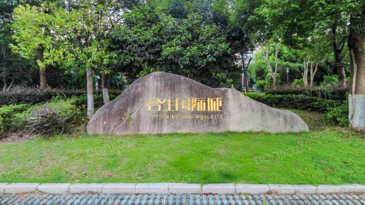 合生国际城外景图