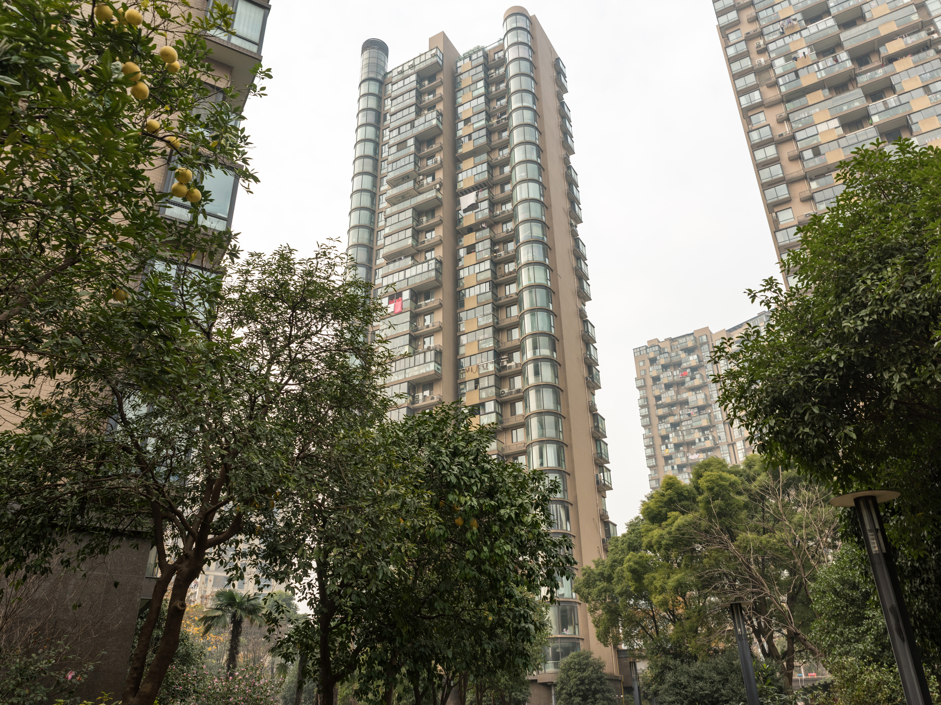 Linfeng Garden compound photo 14