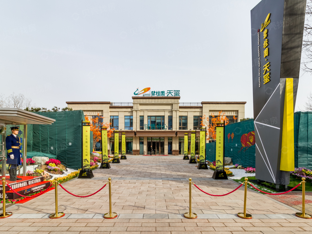 碧桂园天玺相册