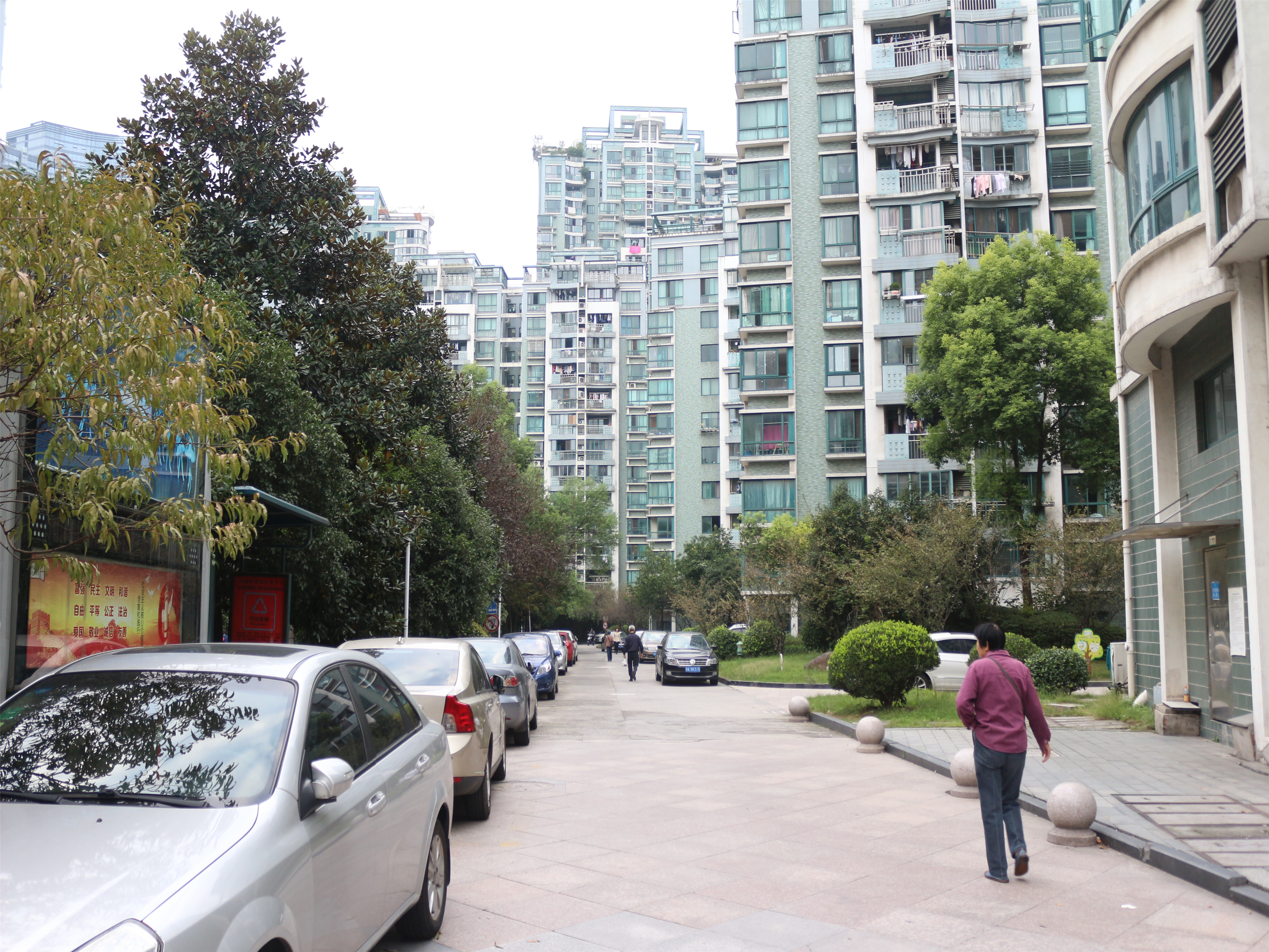 中兴花园小区实景 11