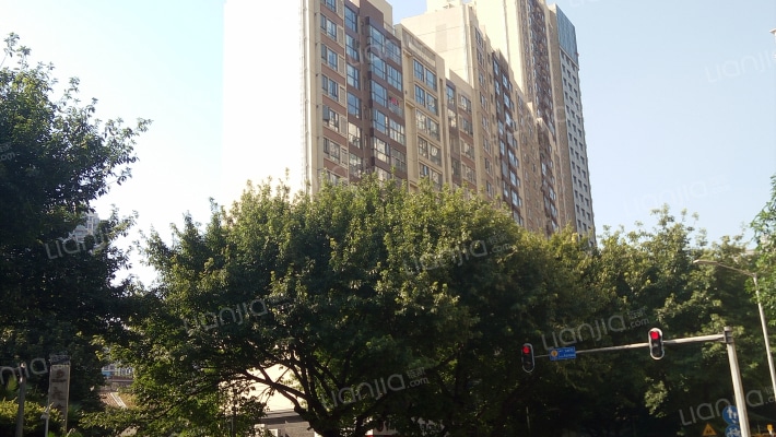 龙津华府外景图