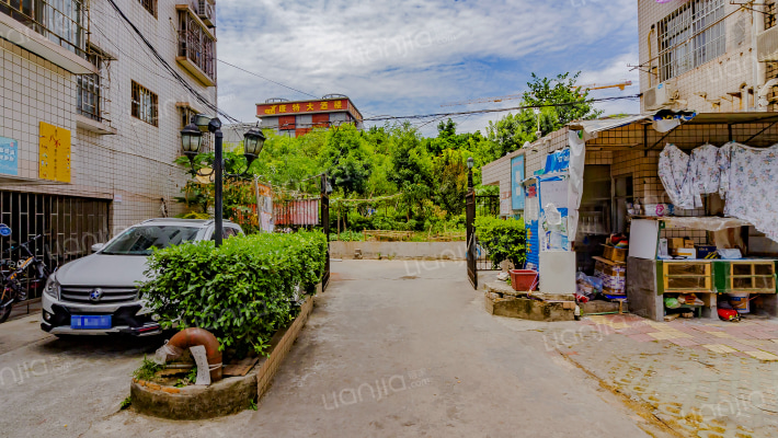 新西洪新村外景图