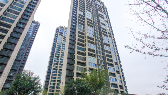 路劲·悦东园外景图