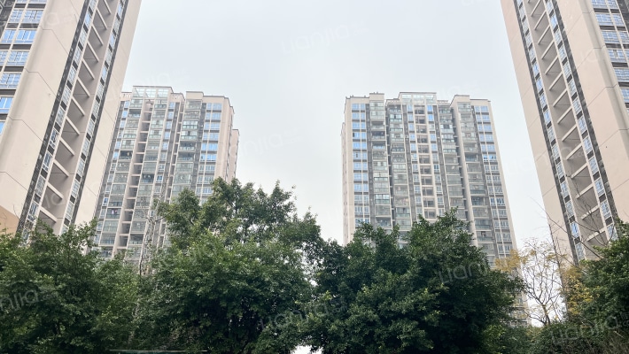 鳳祥居C区外景图