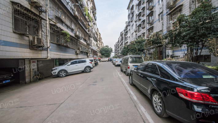 金成中苑外景图