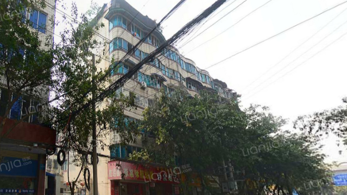 桃蹊路49号院外景图